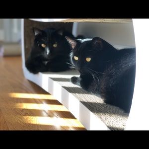 Meet your Posher, Tamara